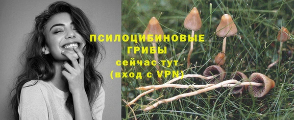 СК Алексеевка