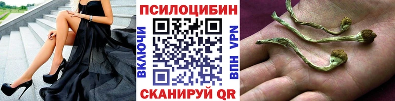 Псилоцибиновые грибы прущие грибы  ссылка на мегу сайт  Ковылкино 